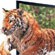 LG Cinema 3D  