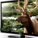  3D TV Samsung D6330
