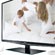  3D  Toshiba TL868