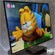 55" OLED  LG  Samsung   