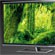  4K 3D  Toshiba   