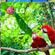 OLED  LG   