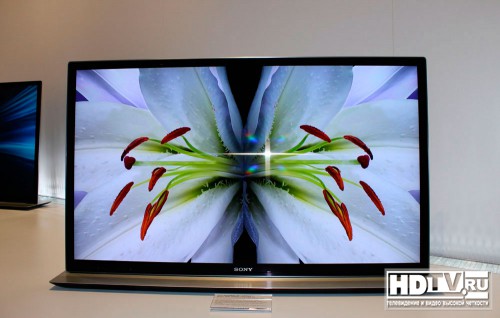   SONY 2012 
