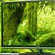    4K 3D Toshiba   