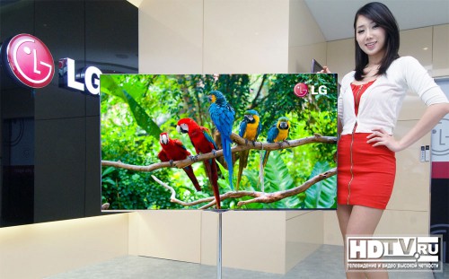 LG     OLED 