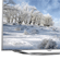  3D  Samsung UE55-ES8000S