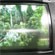  OLED  LG