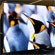 Samsung   55" OLED 