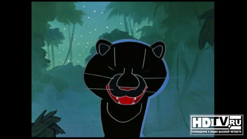  Blu-ray  