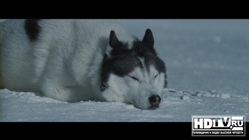  Blu-ray   