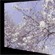 145- 8K UHD  Panasonic
