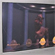  3D 4K  Panasonic