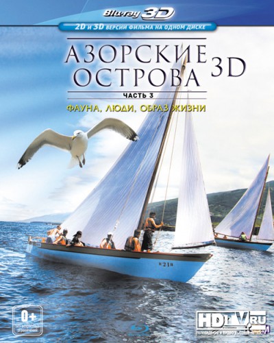  .  III  3D