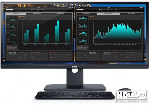 Dell U2913WM    21:9