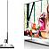 OLED  LG    