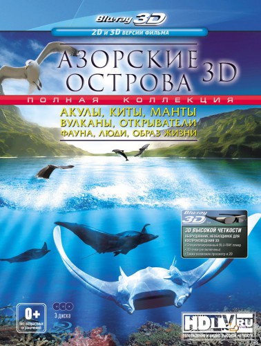     3D