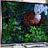 Toshiba   LED 4K   L9300
