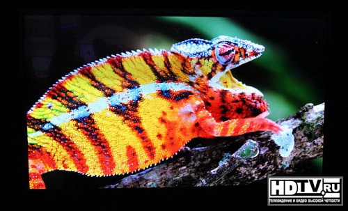 4K OLED  Sony  Panasonic