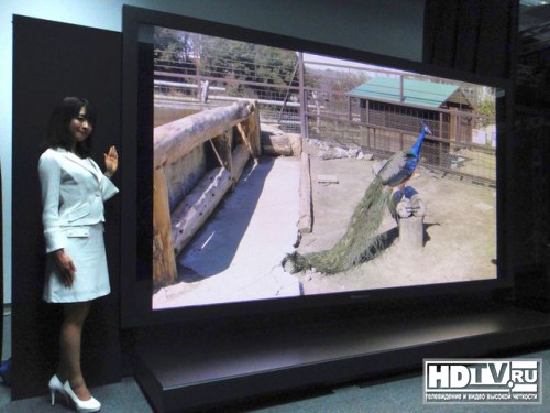 NHK MIMO   8K 