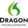 Nuance Dragon   Panasonic
