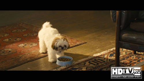  Blu-ray   