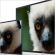 Sony    4 OLED 