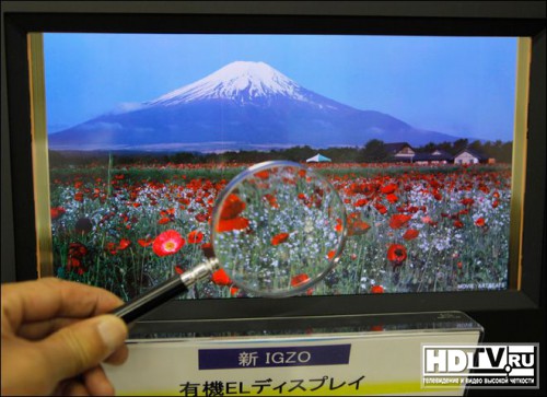 OLED  Sharp   ,  