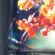 Sharp, SEL  AFD   OLED 