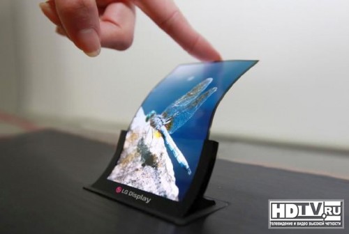 LG   OLED 