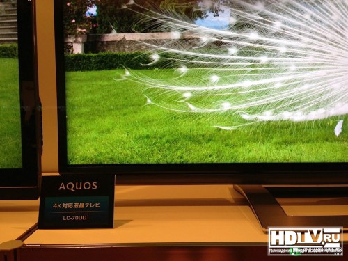 Sharp  4K   Aquos UD1