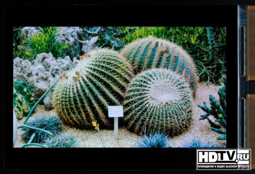 Japan Display    Full HD OLED     