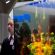  OLED  Panasonic   