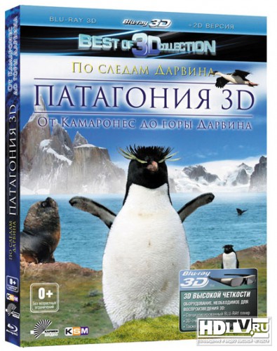 ":   .  II"  3D