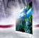 LG 55EA9800  c  