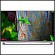 LG    Ultra HD  OLED 
