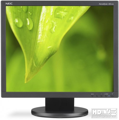 ,     NEC AccuSync AS193i