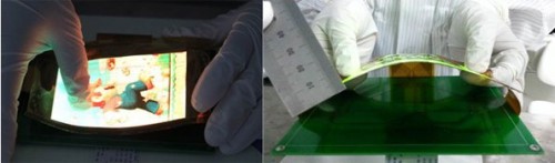  OLED     Ln-IZO