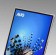 AUO   OLED 