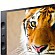Sony    4K Ultra HD TV  HDTV