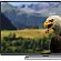 Sharp AQUOS LC-70UD1  LC-60UD1  HDMI 2.0