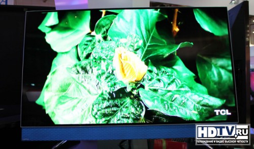  OLED   -