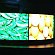 Panasonic: OLED      
