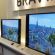 Sony    OLED TV?