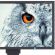 24- Ultra HD  NEC EA244UHD