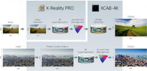     Sony 2014