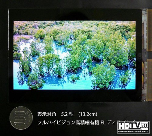 Japan Display    OLED 