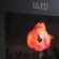 ULED  OLED