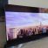 LG   OLED 