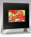 TM Display    OLED-
